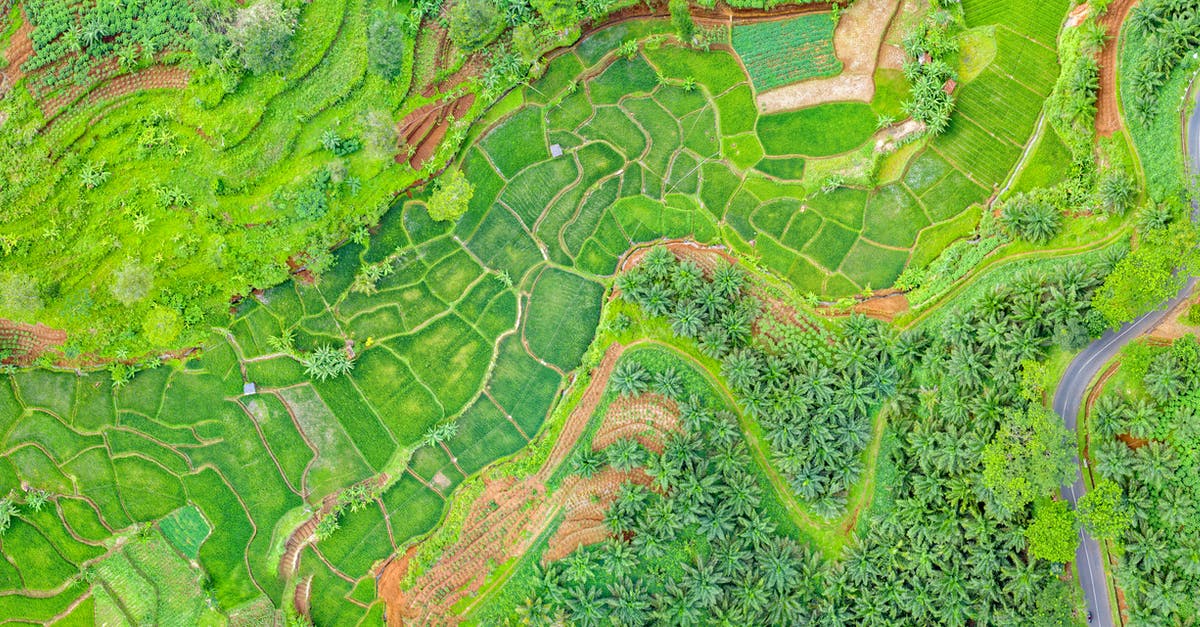 What should the top level of a slime farm be at for maximum efficiency? - Aerial Photography of Plants and Trees What should the top level of a slime farm be at for maximum efficiency? - Aerial Photography of Plants and Trees