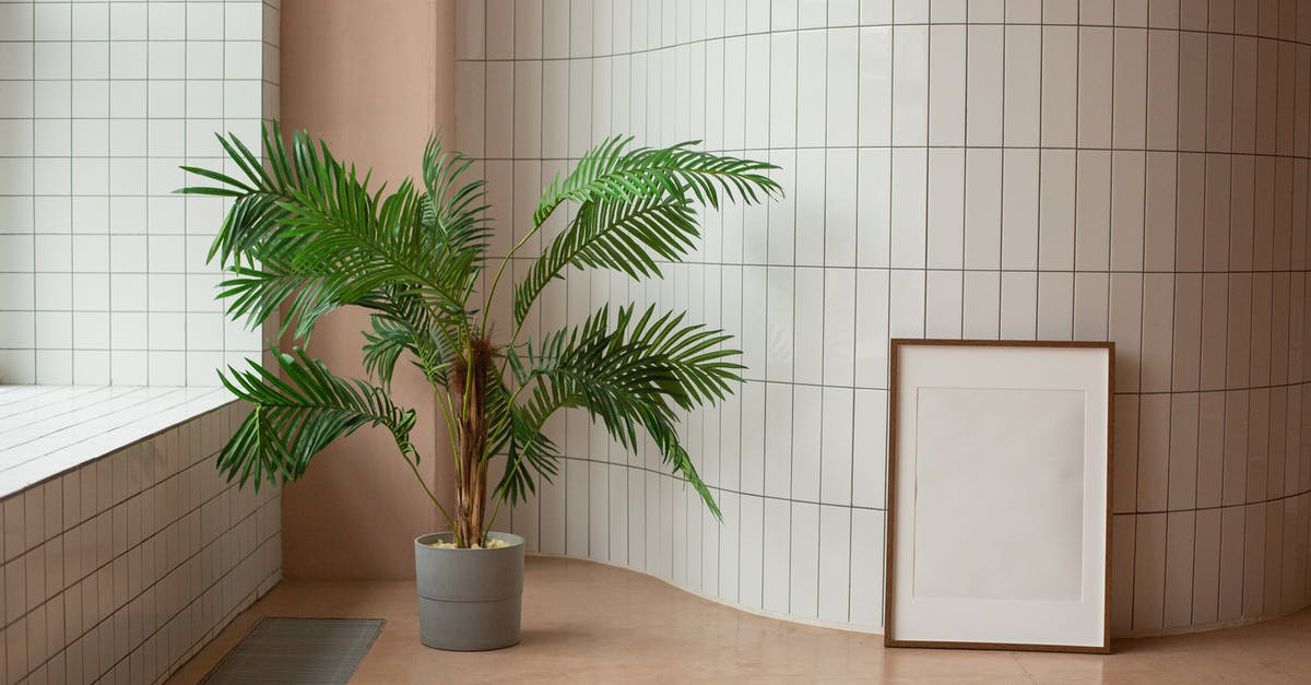 What social policy reduces border growth via culture? - Mock up poster near green plant