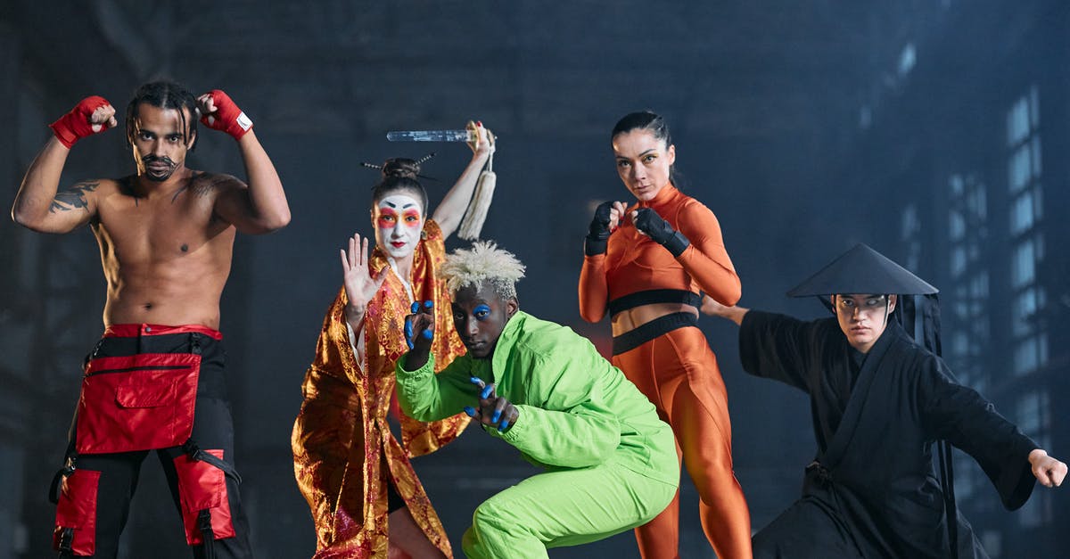 What specific types of Chinese Martial arts Does Ling Xiaoyu use in the Tekken series? - Group of People Wearing Costumes