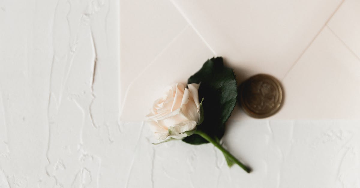 What to beware of when dwarves are reliably sealed in a fortress? - White Rose on White Sealed Envelope in Close Up Photography