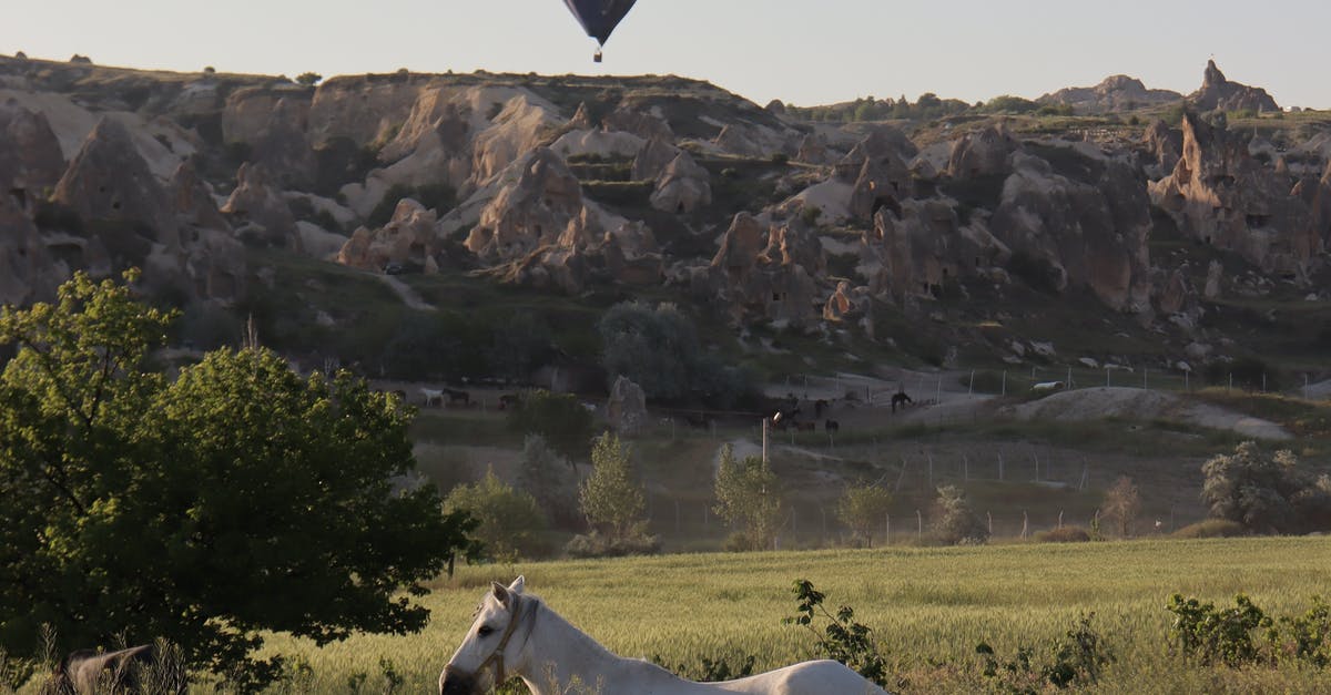 What use does horse poop have? - What use does horse poop have? -