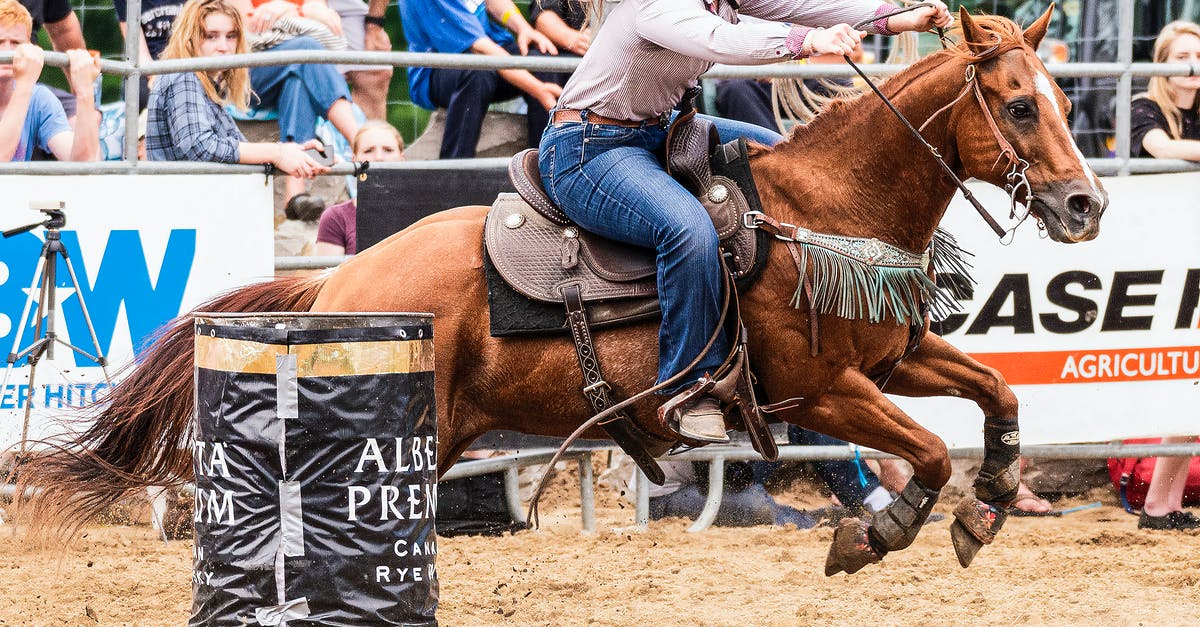 What use does horse poop have? - Woman in Blue and White Long Sleeve Shirt Riding Brown Horse What use does horse poop have? - Woman in Blue and White Long Sleeve Shirt Riding Brown Horse