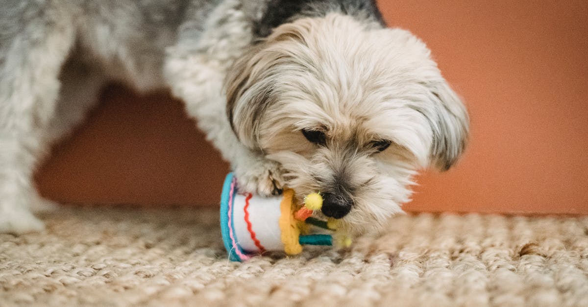 What would happen if a steam gift is decline but the recipient doesn't already own the game? - Curious puppy biting toy for Birthday celebration