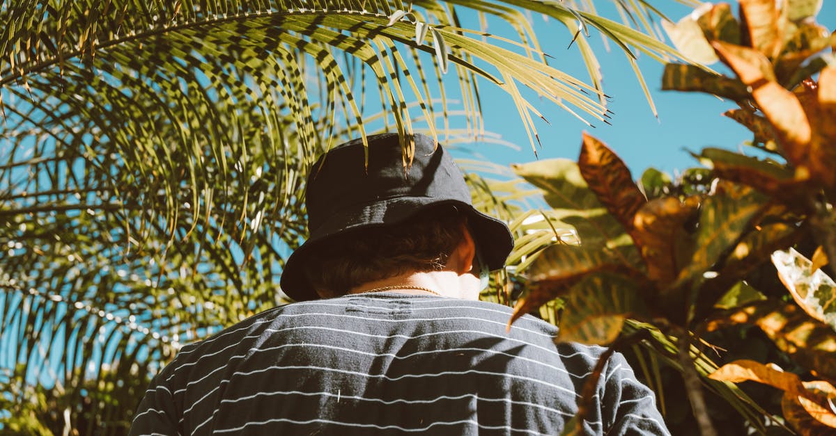 What would happen if Xur leaves while you are viewing his inventory? - Man in White Long Sleeve Shirt and Black Hat Sitting Under Green Palm Tree What would happen if Xur leaves while you are viewing his inventory? - Man in White Long Sleeve Shirt and Black Hat Sitting Under Green Palm Tree