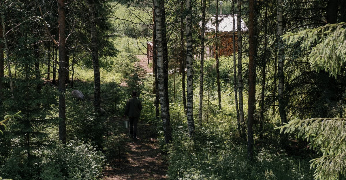 Whats going on at Thicket Excavations? - Man in Black Jacket Walking on Forest Whats going on at Thicket Excavations? - Man in Black Jacket Walking on Forest