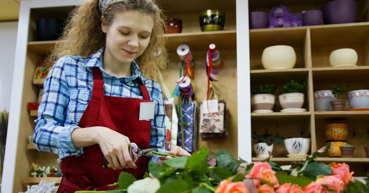 Whats Master Chief's real name - From below of positive female florist in apron and hairband using scissors for cutting low parts of rose branches placed on table in workspace against shelves with flower pots and decorations for presents Whats Master Chief's real name - From below of positive female florist in apron and hairband using scissors for cutting low parts of rose branches placed on table in workspace against shelves with flower pots and decorations for presents