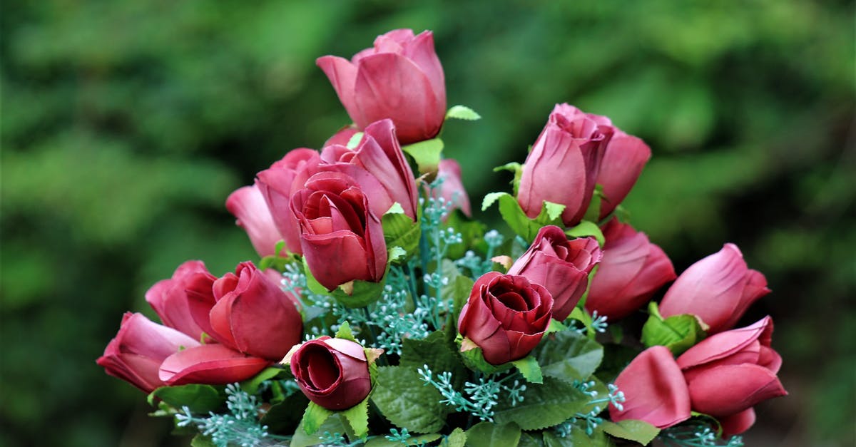 Whats with the fake crime? - Close-up of a Fake Bouquet of Roses Whats with the fake crime? - Close-up of a Fake Bouquet of Roses