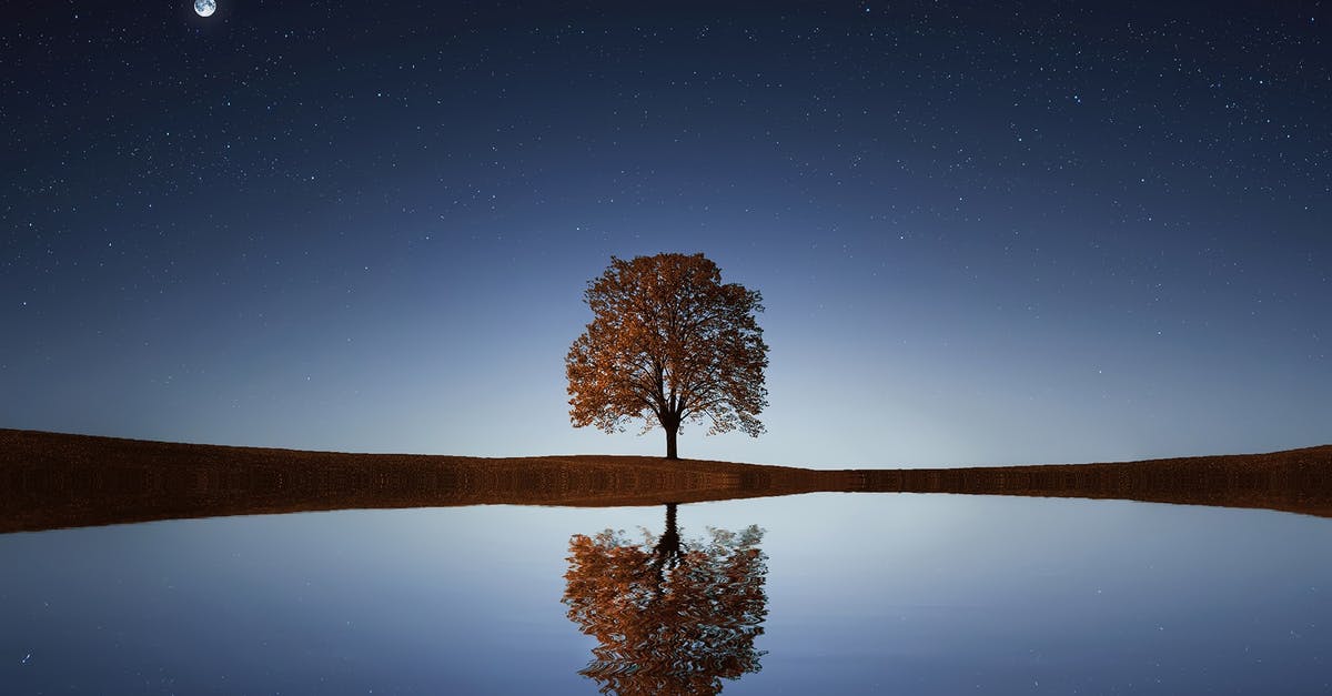 What/Where is XP? - Green Tree What/Where is XP? - Green Tree
