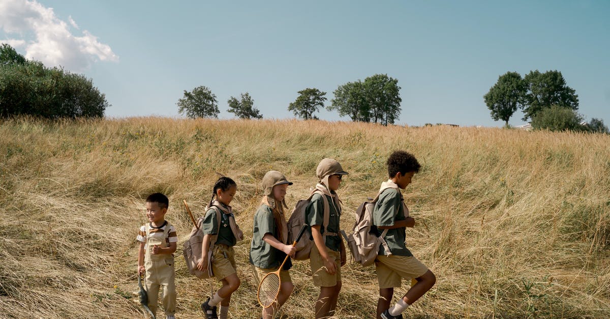 When a troop upgrade finishes do existing troops get upgraded? - A Group of Kids Scouting