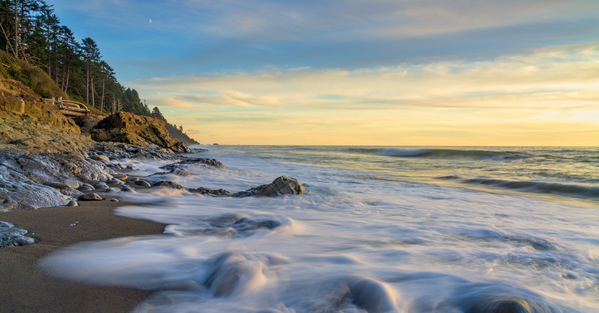 When breaking honeyfruit, how long does the health packs last? - Ocean Waves Crashing on Shore