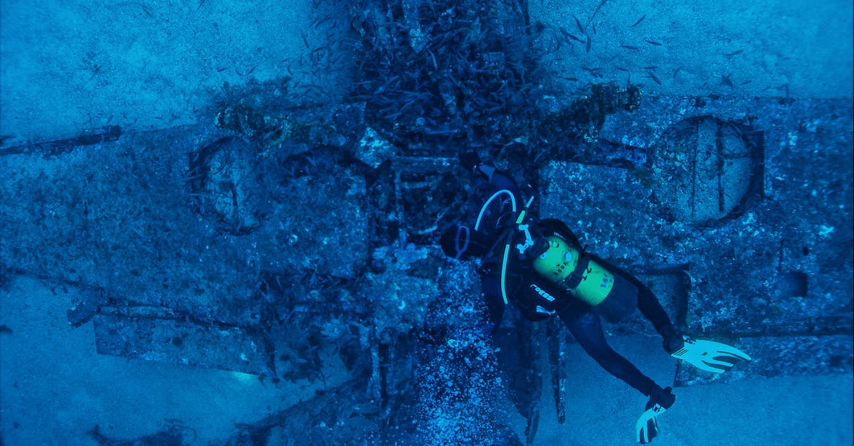 When collecting Legendary gear from a dweller returning from the wasteland, is the icon also blue like a Rare item? - Top view of unrecognizable person in wetsuit inspecting rough remains of sunken plane on bottom of sea When collecting Legendary gear from a dweller returning from the wasteland, is the icon also blue like a Rare item? - Top view of unrecognizable person in wetsuit inspecting rough remains of sunken plane on bottom of sea