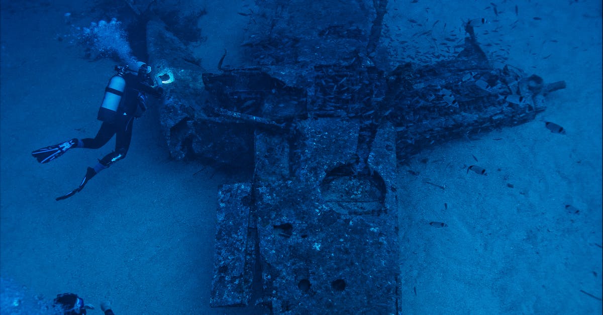 When collecting Legendary gear from a dweller returning from the wasteland, is the icon also blue like a Rare item? - From above anonymous divers swimming and examining remains of aged sunken aircraft on bottom of blue sea When collecting Legendary gear from a dweller returning from the wasteland, is the icon also blue like a Rare item? - From above anonymous divers swimming and examining remains of aged sunken aircraft on bottom of blue sea