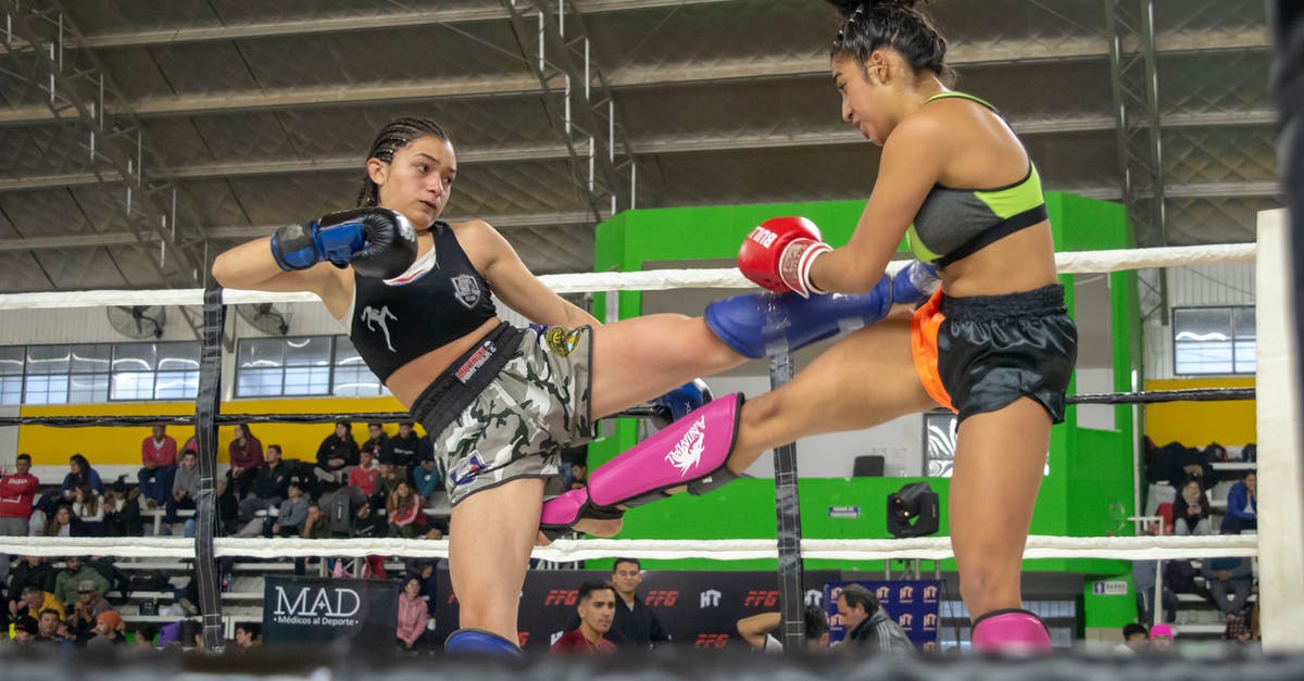 When do I get experience while fighting with companions? - Free stock photo of adult, athlete, battle When do I get experience while fighting with companions? - Free stock photo of adult, athlete, battle