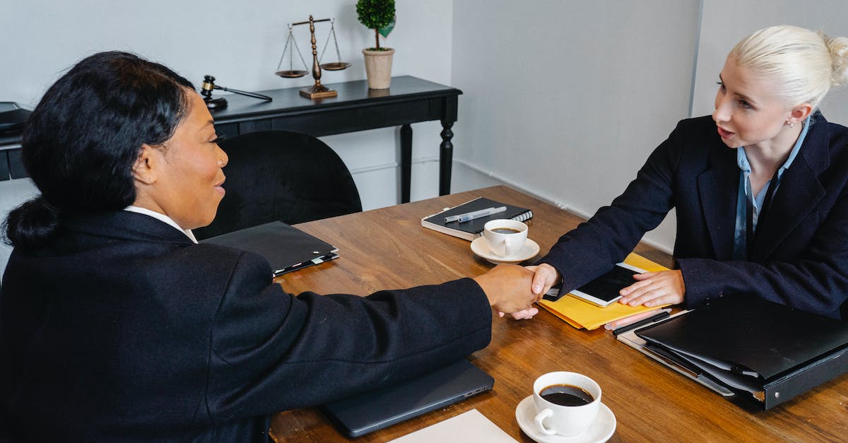 When does each boss theme play? - Cheerful businesswomen shaking hands during meeting