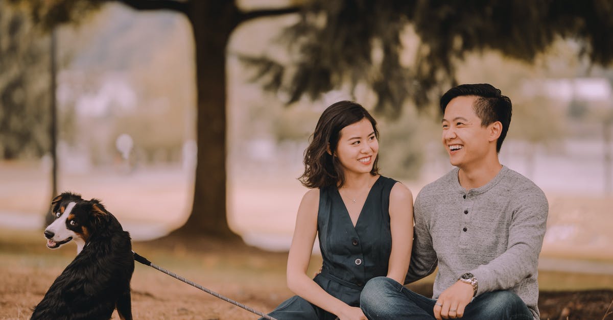 When does Wisp appear in Animal Crossing: City Folk, and where is he? - Glad ethnic couple with Bernese Mountain Dog on leash sitting on grass while spending time together on weekend