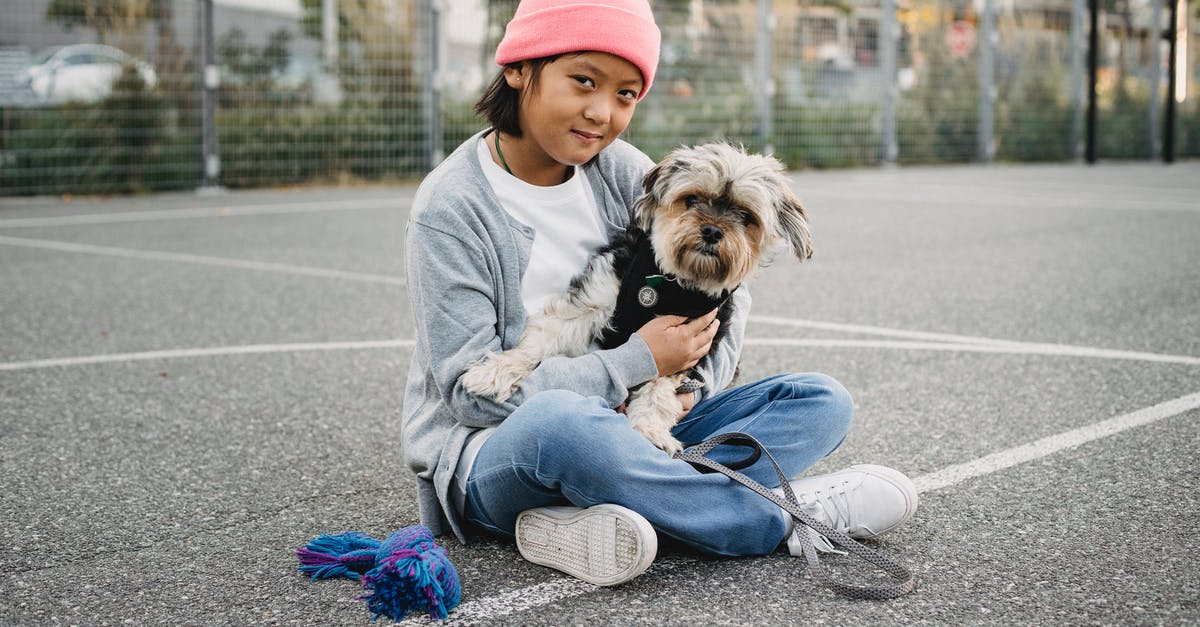 When does Wisp appear in Animal Crossing: City Folk, and where is he? - Charming Asian boy with Yorkshire Terrier on sports ground When does Wisp appear in Animal Crossing: City Folk, and where is he? - Charming Asian boy with Yorkshire Terrier on sports ground