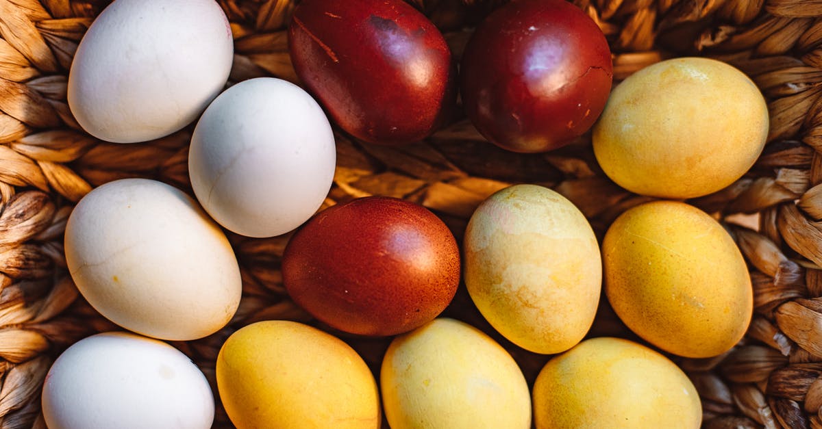 When I first embark my ducks lay fertile eggs but not later - When I first embark my ducks lay fertile eggs but not later -