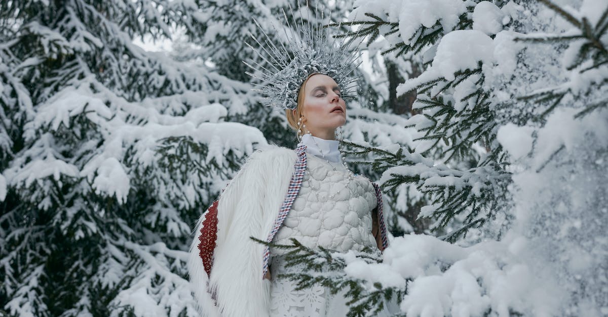 When is a character actually frozen? - Woman Wearing a Crown Standing Near Snow Covered Trees