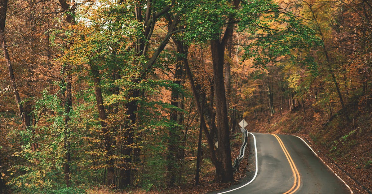 When should I use 4- and 6-lane two-way roads? - Gray Concrete Roadway Beside Green and Brown Leafed Trees When should I use 4- and 6-lane two-way roads? - Gray Concrete Roadway Beside Green and Brown Leafed Trees