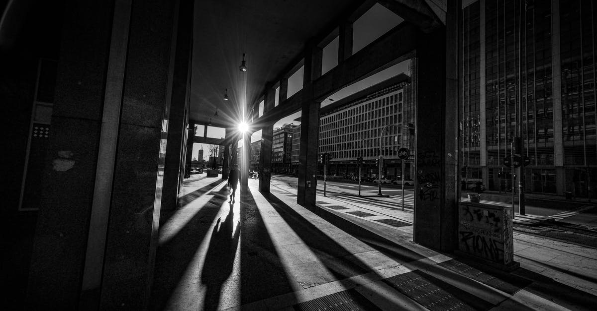 When will the Traveler's Walk be opened in Destiny? - Black and white of anonymous silhouette of person walking along open passage of building