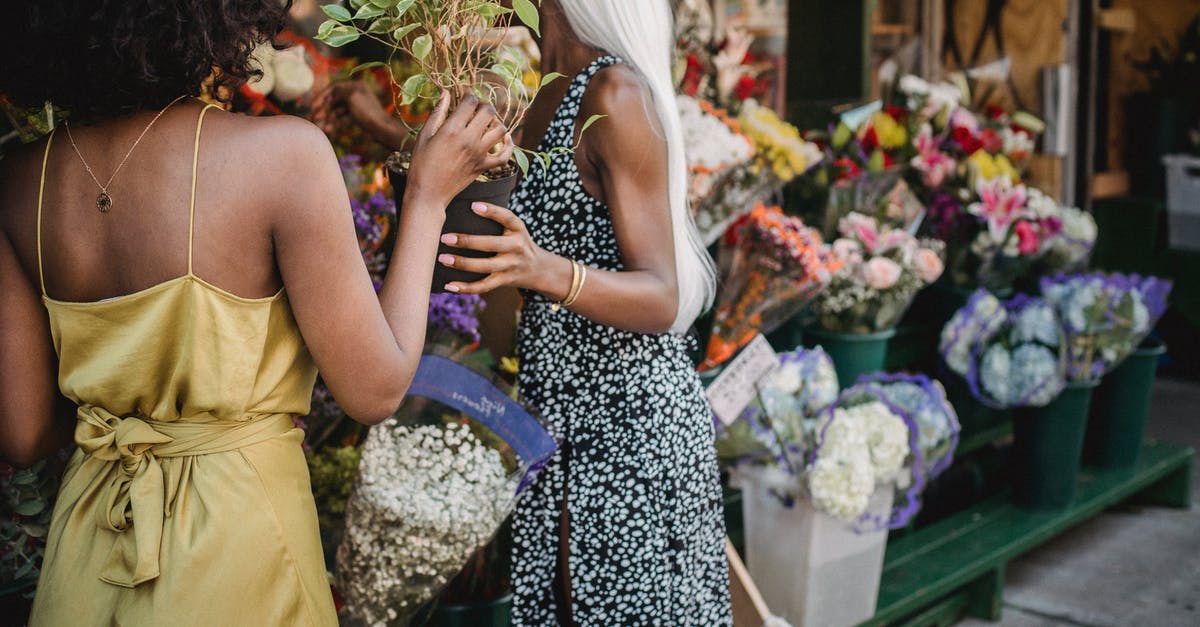 Where's Codsworth? - Woman in Yellow Sleeveless Dress Holding Bouquet of Flowers