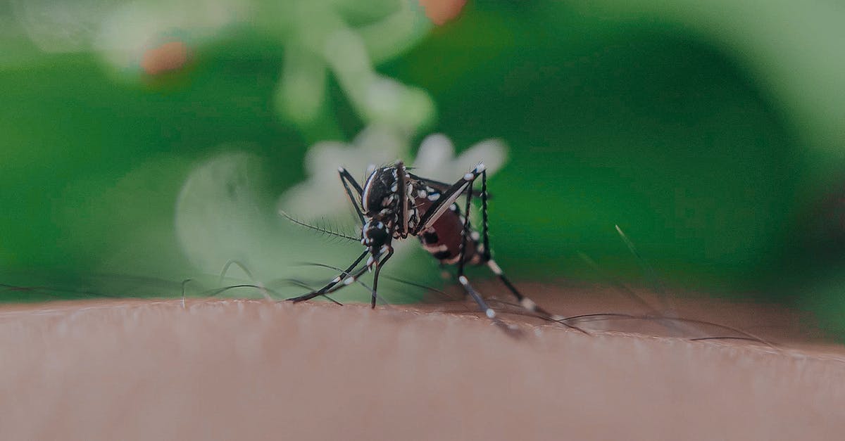 Where's the Critical Hit spot on Abaddons? Found in Bounty of Blood? - Closeup of spotted mosquito with thin legs and proboscis sucking blood on skin with hairs of faceless person
