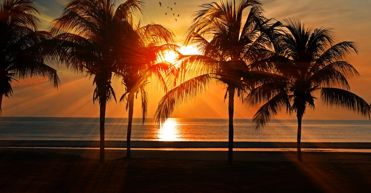 Where are all of the barns located in Forza Horizon 5? - Silhouette of Trees during Golden Hour