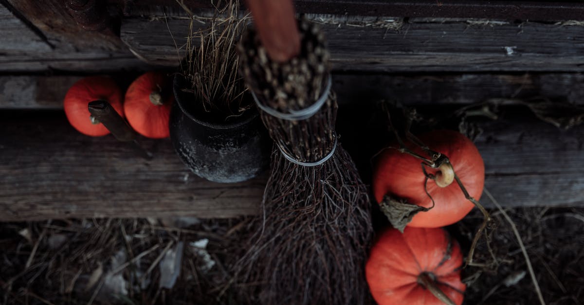 Where are all the pumpkins in The Anthill map? - Broom and Pumpkins