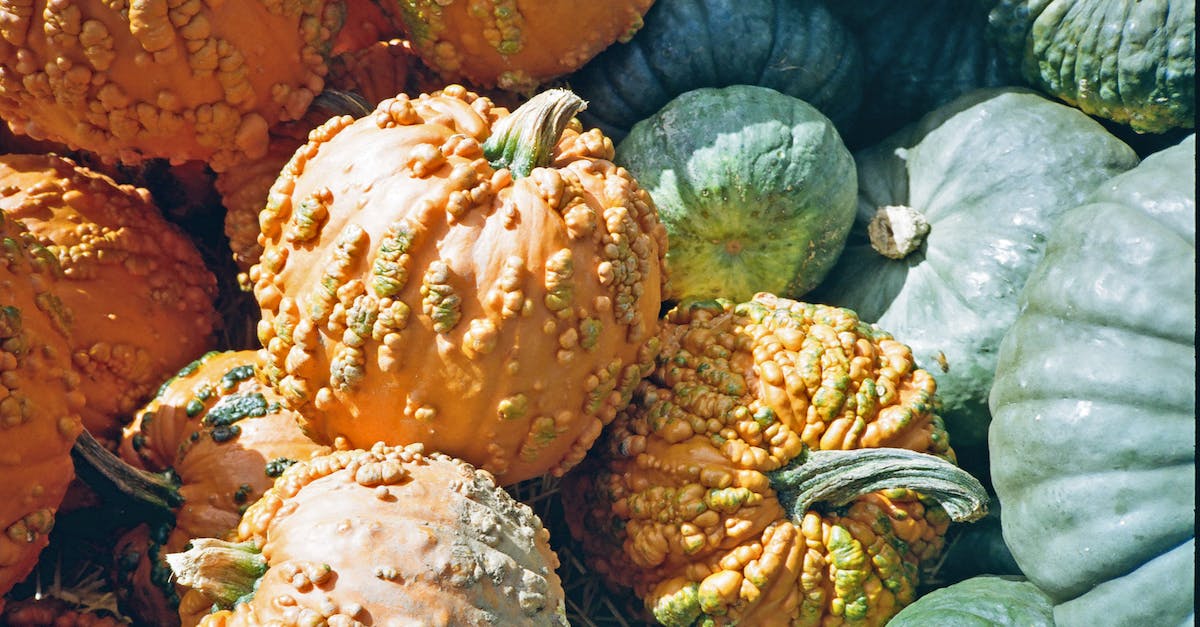 Where are all the pumpkins in The Anthill map? - Orange and Green Pumpkin Vegetables Where are all the pumpkins in The Anthill map? - Orange and Green Pumpkin Vegetables