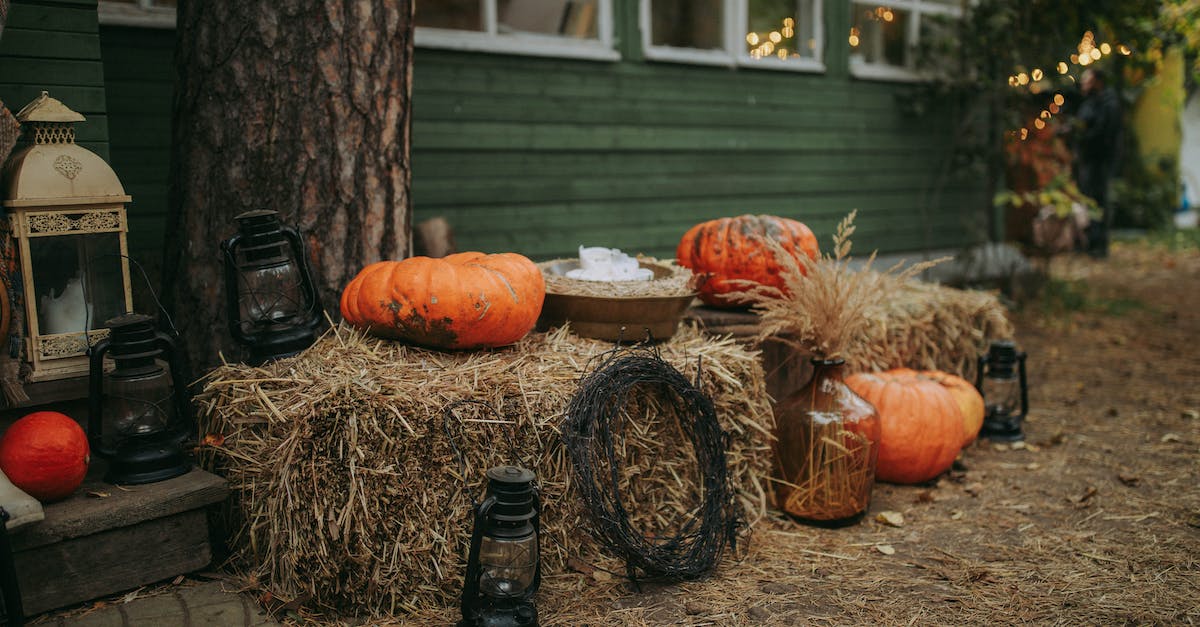 Where are all the pumpkins in The Anthill map? - Orange Pumpkins on Brown Hay Bales Where are all the pumpkins in The Anthill map? - Orange Pumpkins on Brown Hay Bales