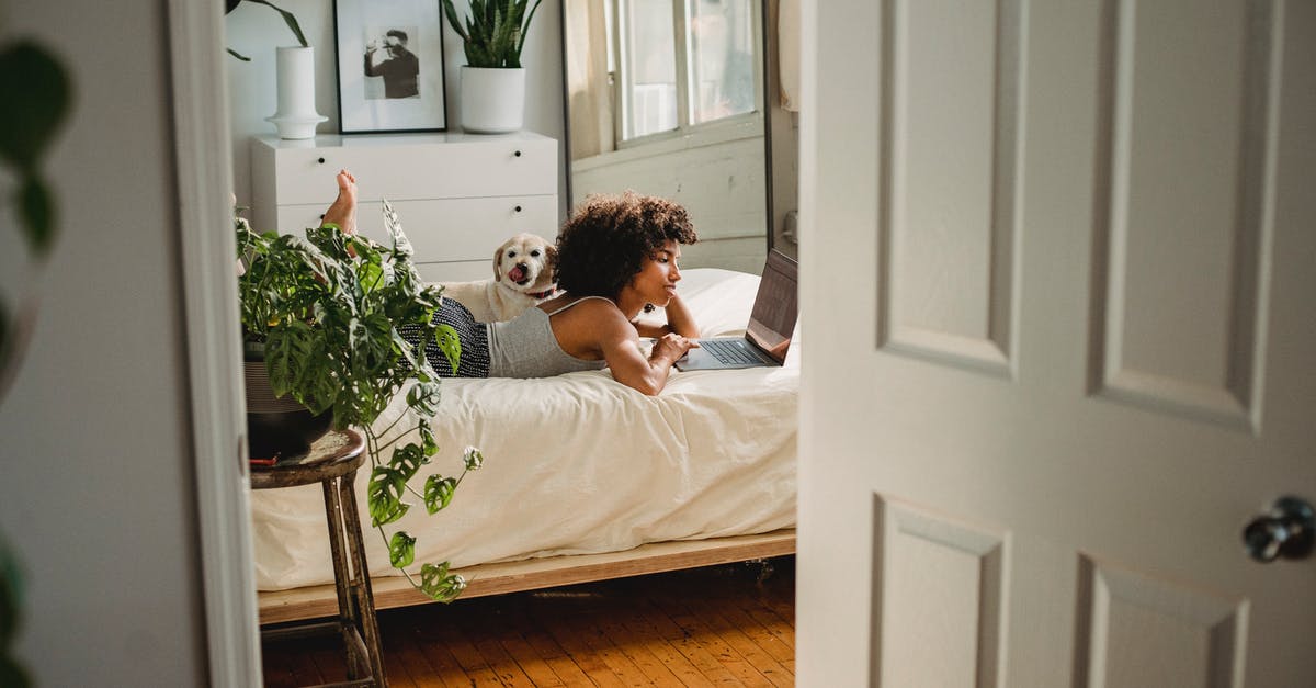 Where are save files located for Watch Dogs in my Windows PC? - Side view of young ethnic female with netbook leaning on hand while resting on bed with dog at home