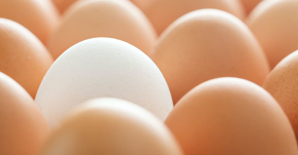 Where are the ingredient to enchant exceptional items? - Background of whole chicken eggs in rows