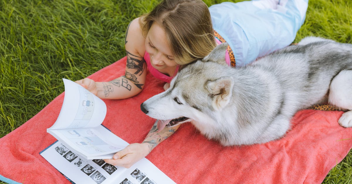 Where are the Overdue Books? - Free stock photo of blanket, child, cute Where are the Overdue Books? - Free stock photo of blanket, child, cute