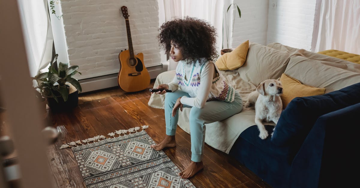 Where are the side mission rewards in Watch Dogs? - Attentive black woman watching TV near dog at home Where are the side mission rewards in Watch Dogs? - Attentive black woman watching TV near dog at home
