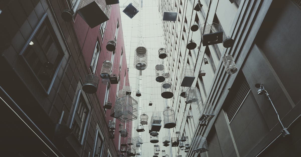 Where are the whole League of Legend installation files/caches located after download? - From below of various birdcages hanging on street between modern buildings in Sydney city district Where are the whole League of Legend installation files/caches located after download? - From below of various birdcages hanging on street between modern buildings in Sydney city district