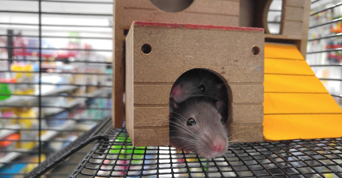 Where are these traps in the Sanitarium map? - Two Gray Mice Inside Brown House Where are these traps in the Sanitarium map? - Two Gray Mice Inside Brown House