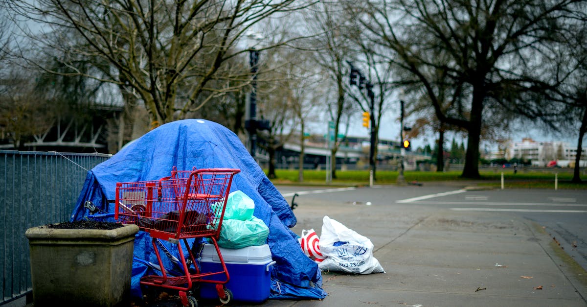 Where are void container mods located? - Bright blue tent and shopping trolley placed near fence on street on autumn day in city Where are void container mods located? - Bright blue tent and shopping trolley placed near fence on street on autumn day in city