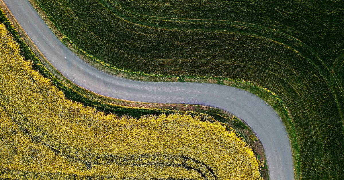 Where are Yianaros's field NPCs? - Aerial Photography of Country Road Between Green Grass Field