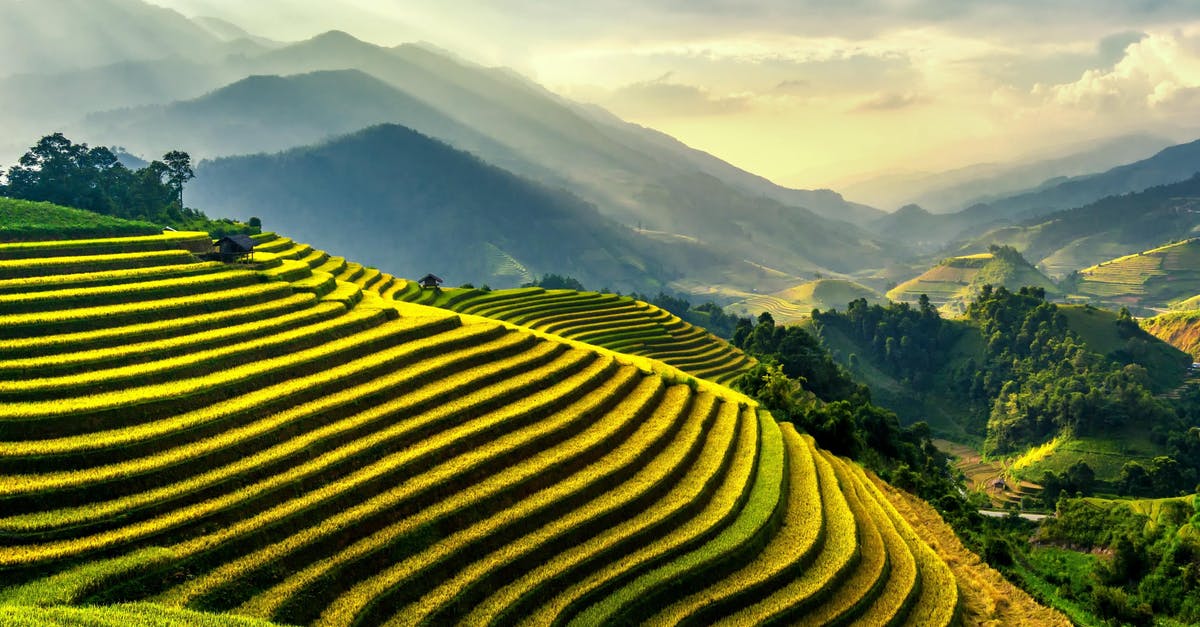 Where can I best farm Mutagen Samples? - Rice Terraces