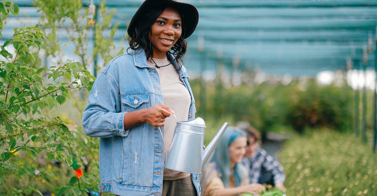 Where can I farm Synthetic in The Following? - A Woman Standing while Holding a Watering Can