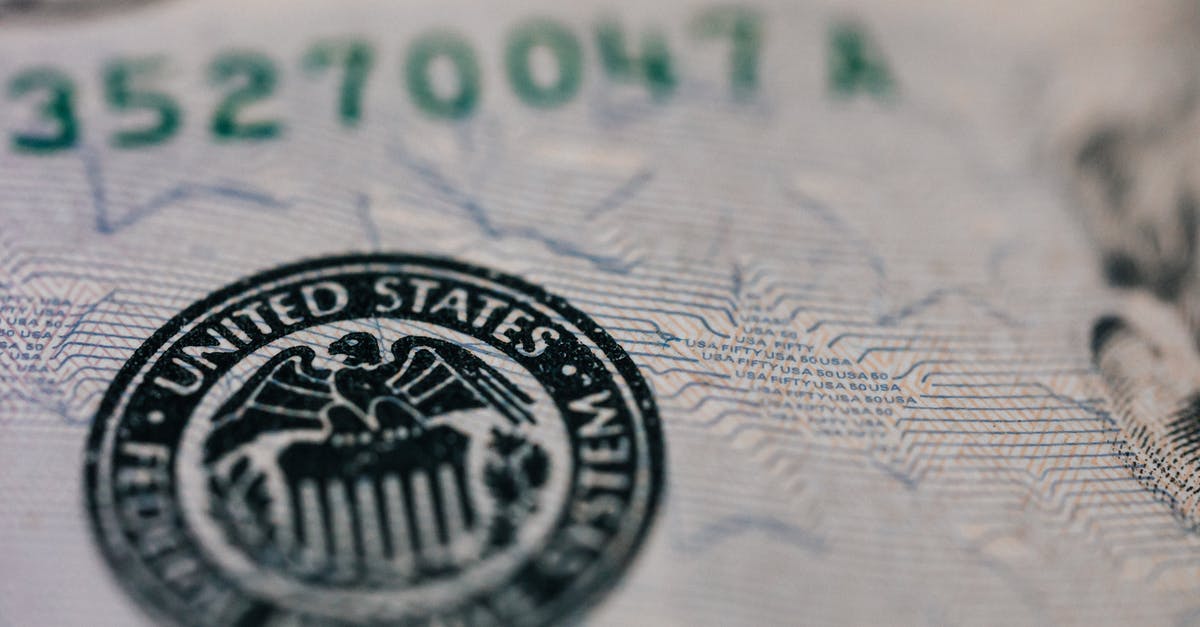 Where can I find a large number of fish? - From above closeup of national symbol of USA paper money representing official seal with eagle with olive oil and arrow sitting on shield
