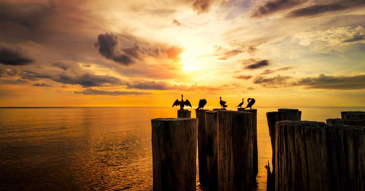 Where can I find logs of diplomacy agreements? - Sea Birds on Tree Logs Where can I find logs of diplomacy agreements? - Sea Birds on Tree Logs