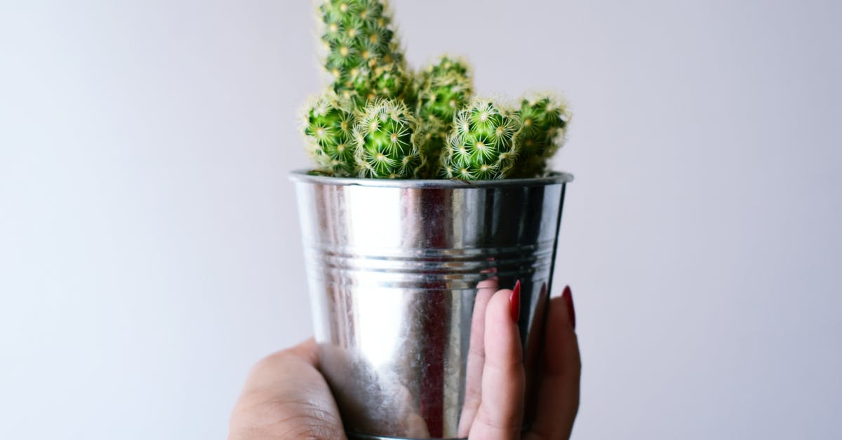Where can I find Plant Fiber and Iron? - Person Holding Can With Cactus Plant Where can I find Plant Fiber and Iron? - Person Holding Can With Cactus Plant