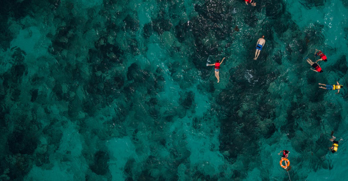 Where can I find the Wolf school witcher gear? - People Snorkeling In The Sea