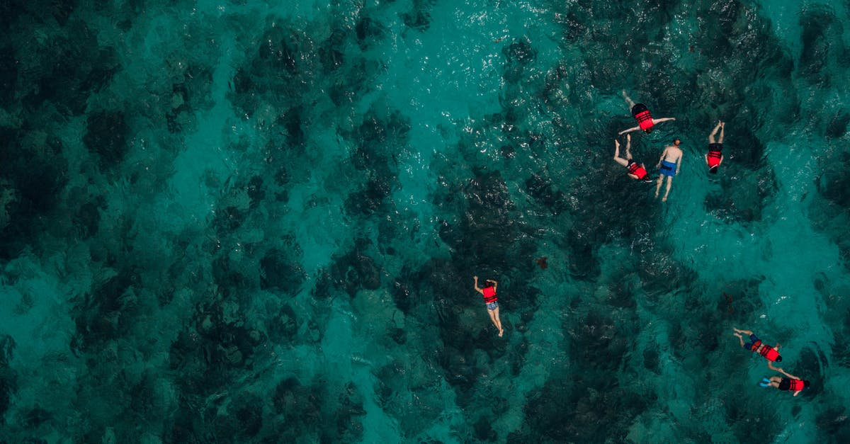 Where can I find the Wolf school witcher gear? - People Snorkeling In Deep Water