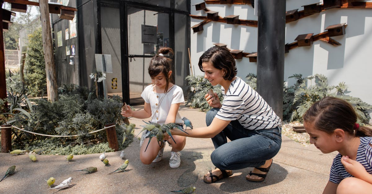 Where can I find the zoo on Mother Base? - Mother and her Daughters Feeding the Birds Where can I find the zoo on Mother Base? - Mother and her Daughters Feeding the Birds