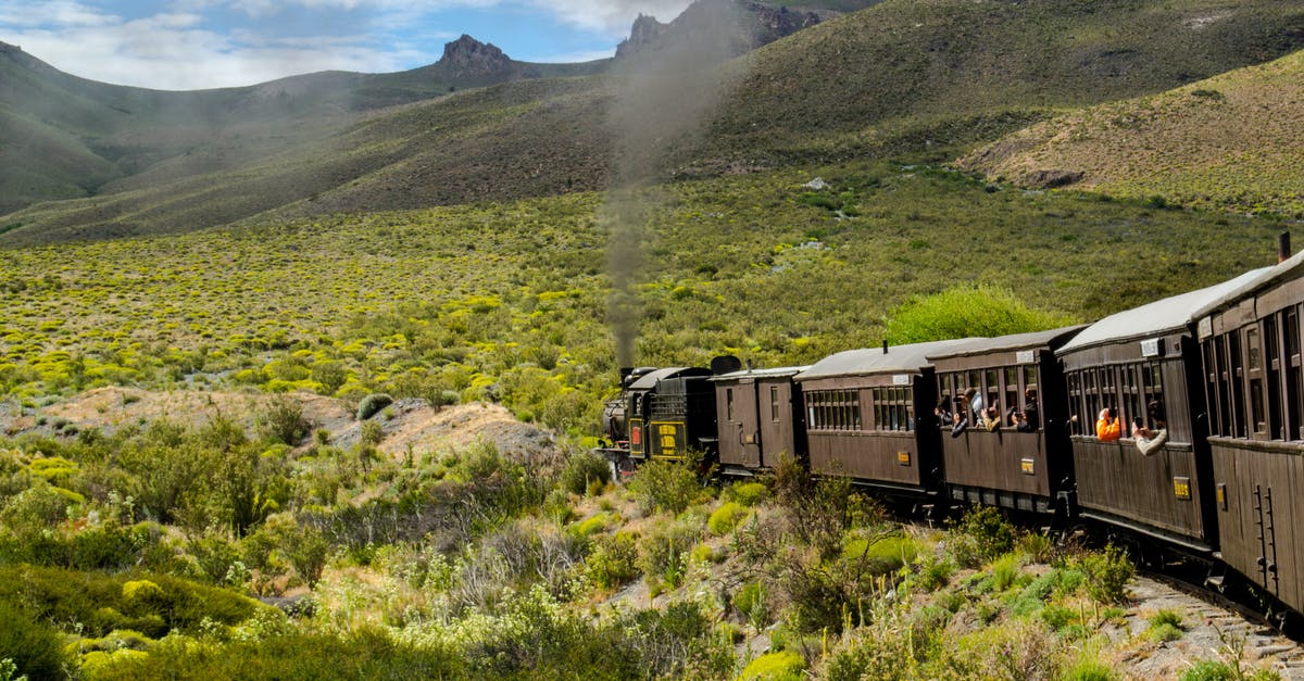 Where can I train my Pokemon for the Elite Four? - Green Train on Green Grass Field Where can I train my Pokemon for the Elite Four? - Green Train on Green Grass Field