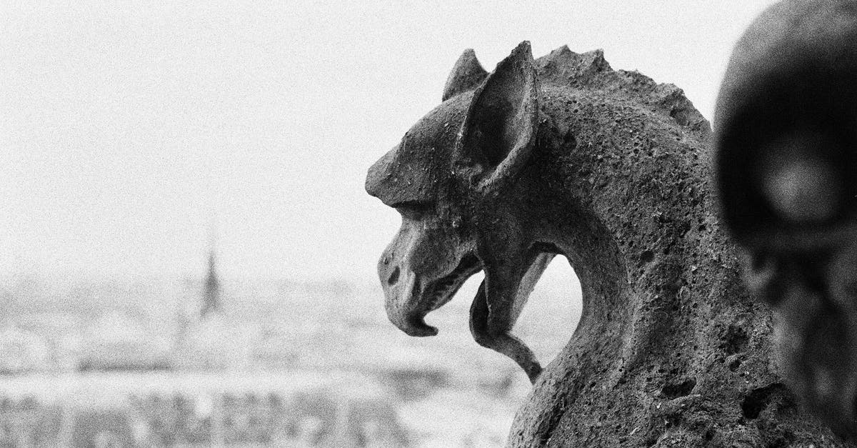 Where can you find the dragon of Eldin Volcano? - Grayscale Photo of Animal Statue Where can you find the dragon of Eldin Volcano? - Grayscale Photo of Animal Statue