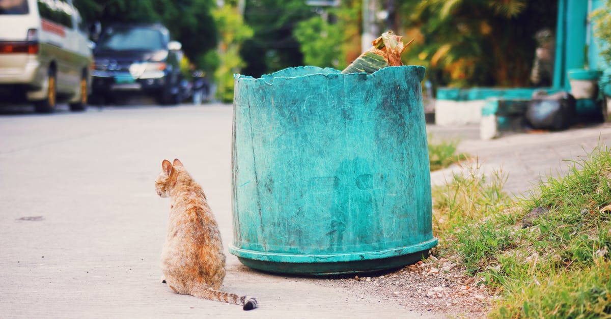 Where can you find the Gamma Gun and the Atom Cats? - Red stray cat sitting on asphalt sidewalk near shabby trash can with garbage on street with cars and green trees