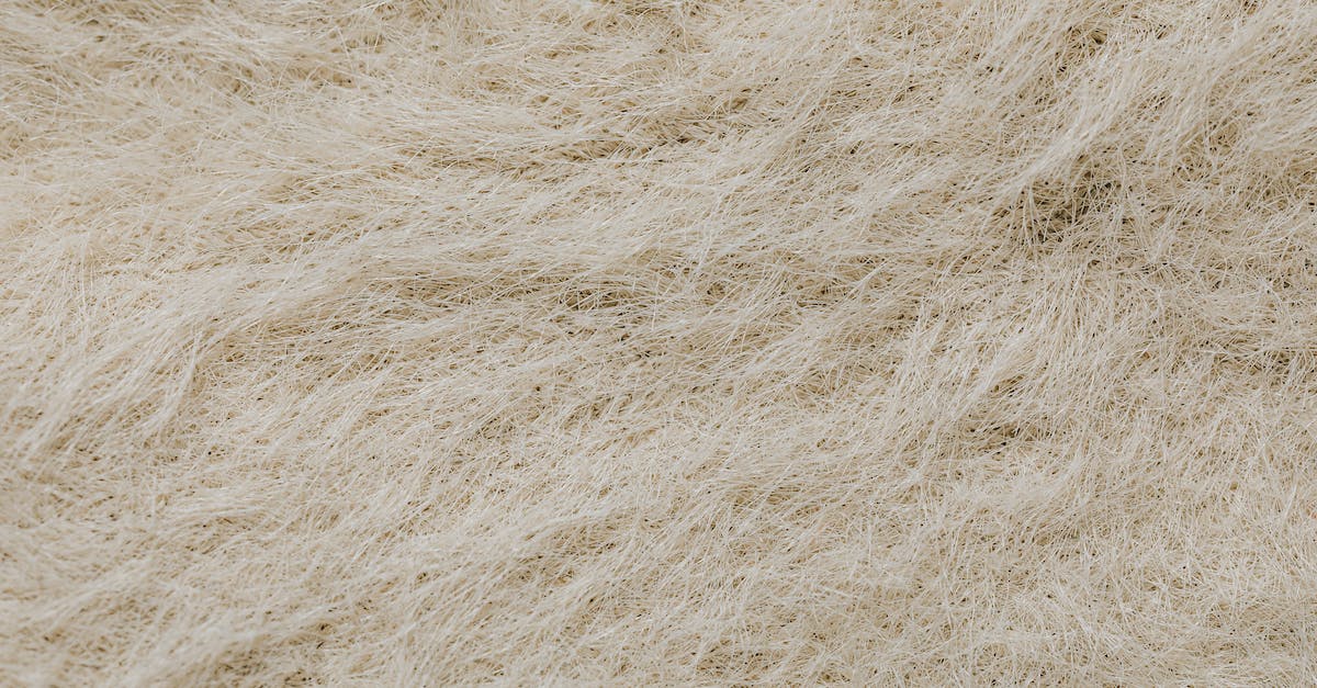 Where did the Auditore and Kenway lines merge? - Free stock photo of abstract, architecture, construction